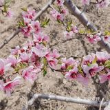 带着自己的家人去户外呼吸一下新鲜的空气