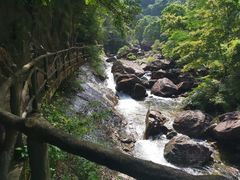 -花岩国家森林公园