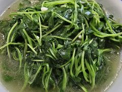 上汤萝卜苗-谭家菜(童宾路店)