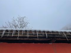 -武陵山森林公园
