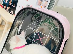 -爱侣宠医·鹦鹉专科·小型哺乳类·异宠专科(灵石路店)