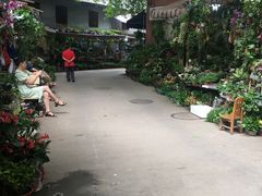 -青石桥花鸟鱼虫市场(叠翠城店)