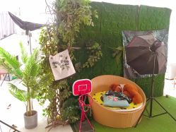 -艾菲儿摄影(正鼎店)