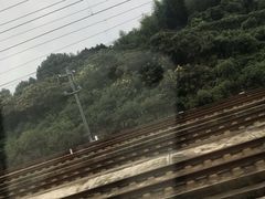 -岳阳东站