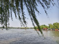 -济南大明湖景区