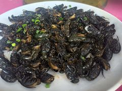 -大湾区中央湿地公园