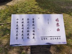 -澹台湖公园