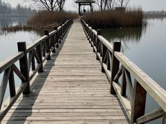 -野鸭湖国家湿地公园