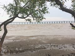 -宝安西湾红树林湿地公园