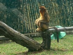 -大连森林动物园