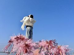 -WFC会仙楼观景台