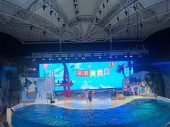 -三亚海昌梦幻海洋不夜城