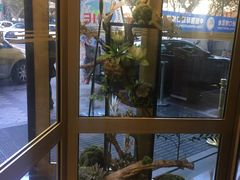 -上海新锦江大酒店