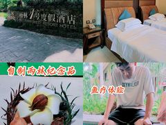 -呀诺达热带雨林