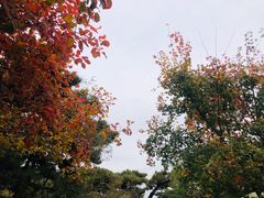 -香山公园