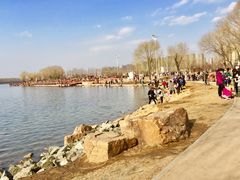 -丁香湖公园
