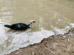 -洛阳马蹄泉旅游度假村