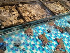 -映像威海·海鲜味道(市区店)