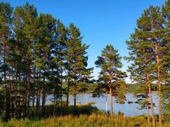 -北极村旅游风景区