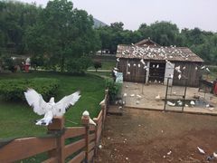 -无锡动物园·太湖欢乐园