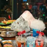 北京探店｜没想动你是这样的火财盒❗️