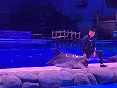 -华夏文旅海洋公园