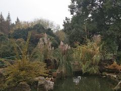 -东湖落雁景区