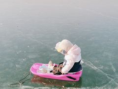 -丁香湖公园