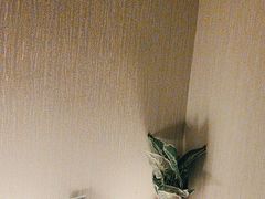 -禧瑞 ·丝浴主题·水疗·spa(中山公园店)