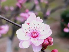 -白塘生态植物园