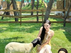 -南戴河国际娱乐中心