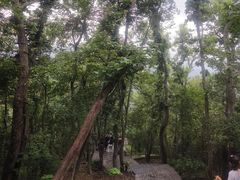 -紫金山山顶公园