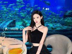 -亚特兰蒂斯•OSSIANO奥西亚诺海底餐厅