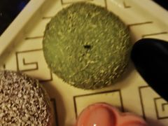 -五月花(朝阳南大街店)