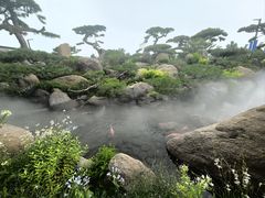 -罗红摄影艺术馆