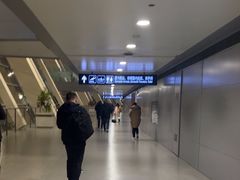 -合肥新桥国际机场-航站楼