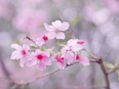 -福建鲤鱼洲酒店