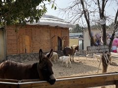 -HERRE·FARM 赫尔露营农场·团建聚会包场