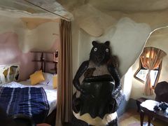 -疯狂屋