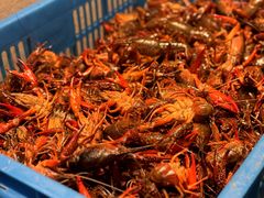 -蚝翅·海鲜粥·烧烤·龙虾季(海曙天一店)