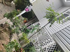 -九龙潭景区