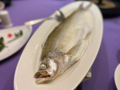 清蒸白水鱼-张福记(陇海中路店)