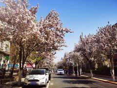 -天津五大道文化旅游区