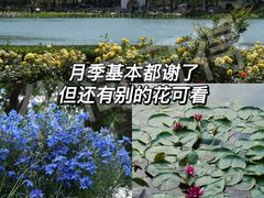 -陶然亭公园