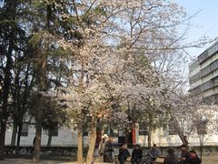 -解放人民公园
