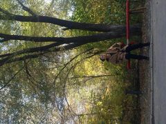 android_upload_pic-鲤鱼山公园