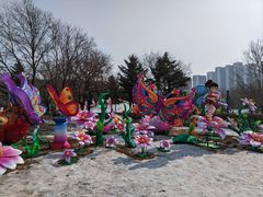 -沈阳奥体冰雪嘉年华