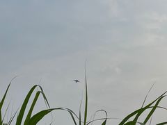 -武昌江滩