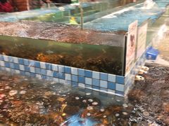 -宝燕海货工场(长江国际店)