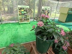 -南宁花花大世界景区